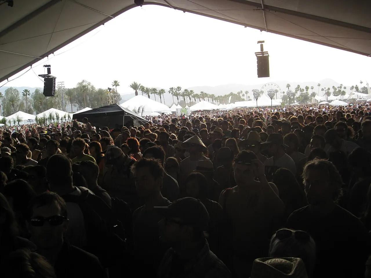 Crowd at the Coachella festival in 2010
