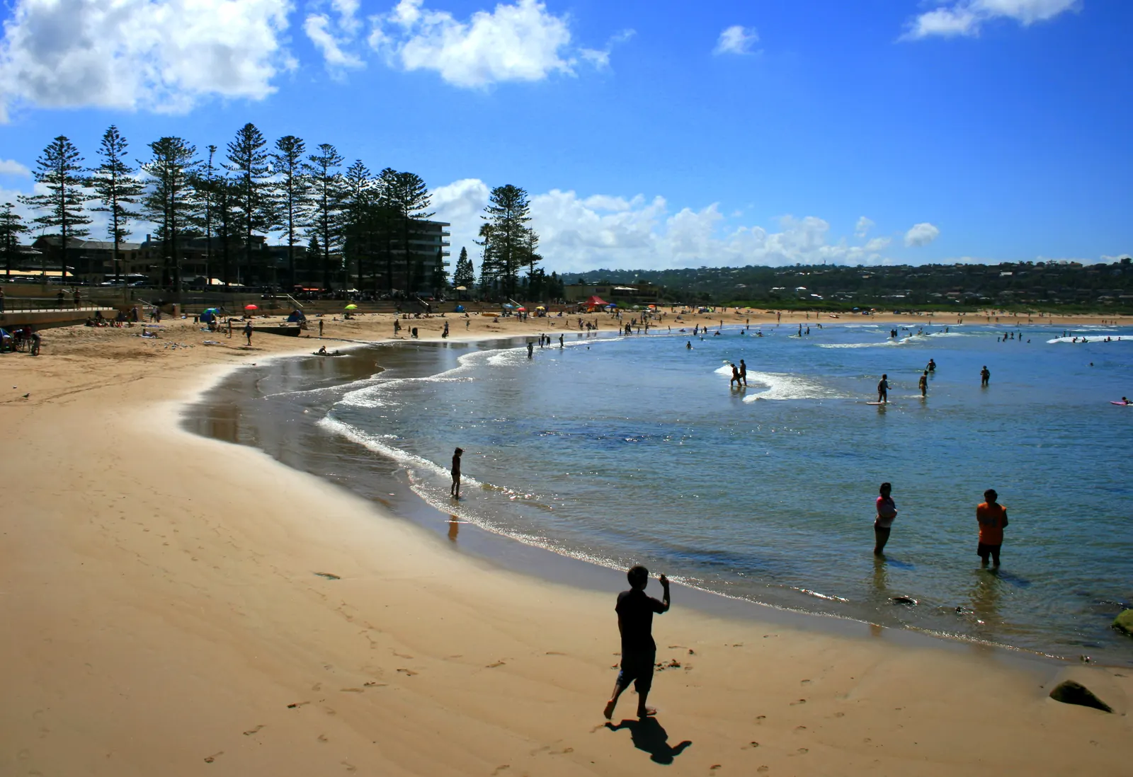 Archival view of Dee Why Beach with beachgoers, a curving shoreline, surf and distant headland